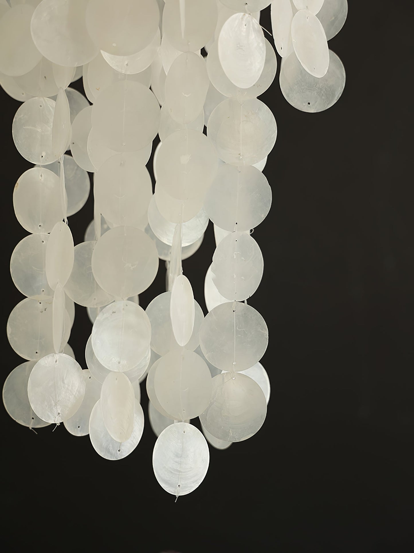 Neridda Shell Chandelier