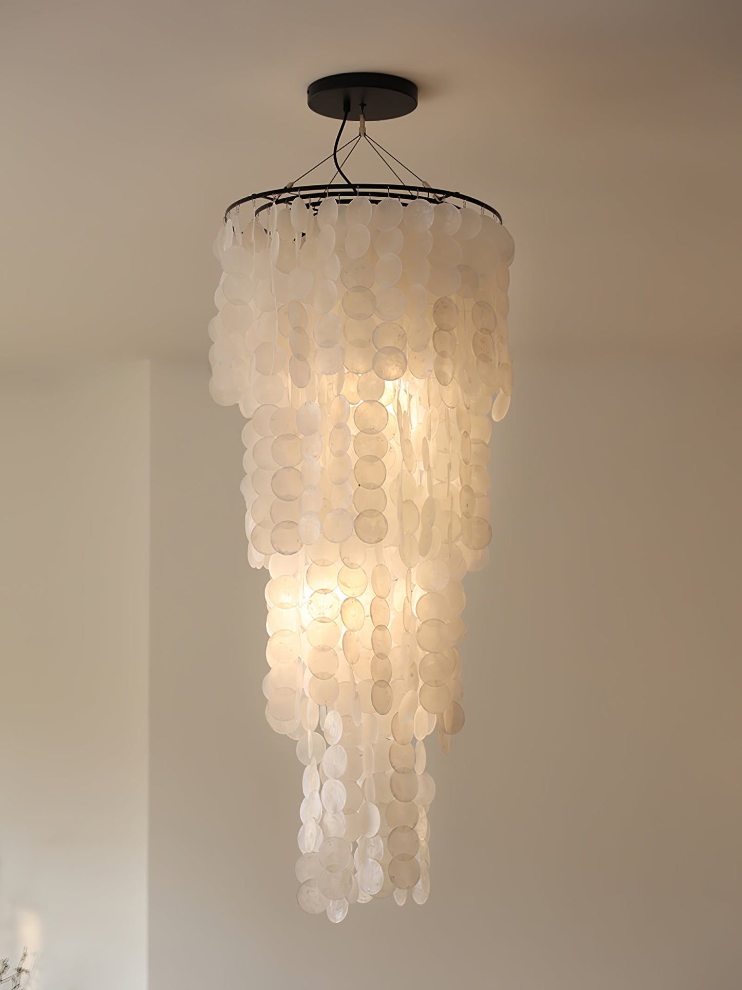 Neridda Shell Chandelier