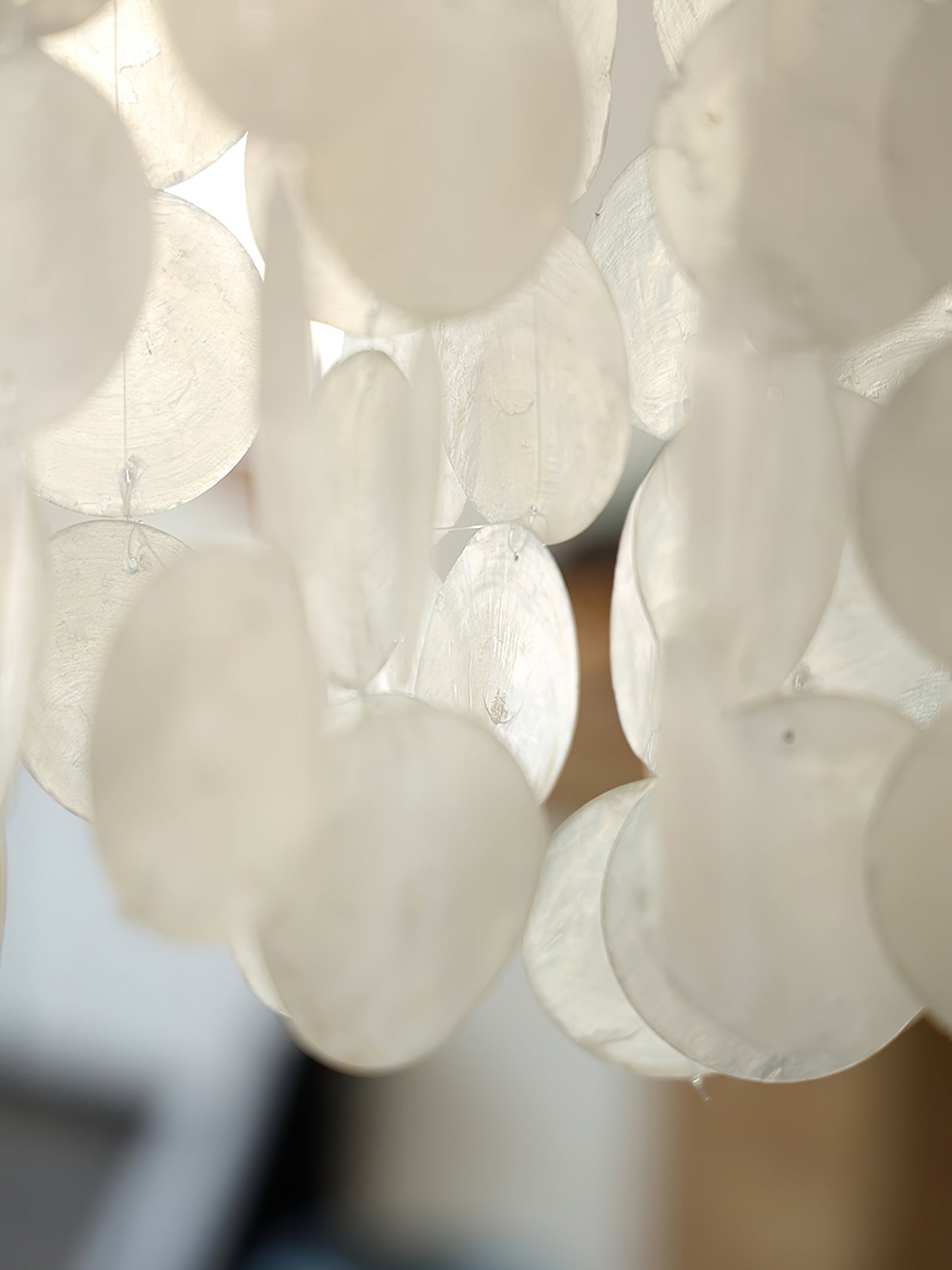 Neridda Shell Chandelier